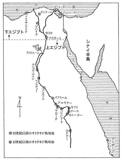 図1 エジプトのさとうきび栽培地図(13世紀ごろまで)