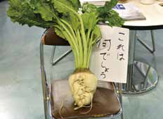 来場者の注目を集めたてん菜の模型