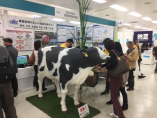 等身大の乳牛フィギュア