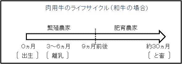 業務の解説 トピックス 農畜産業振興機構