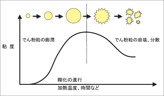 糊 化 デンプン