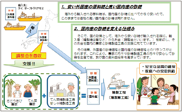 日本のさとうきび・てん菜を支える仕組みについて