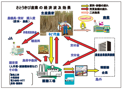 さとうきび産業の経済波及効果について