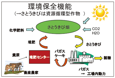 さとうきび生産と環境保全機能について