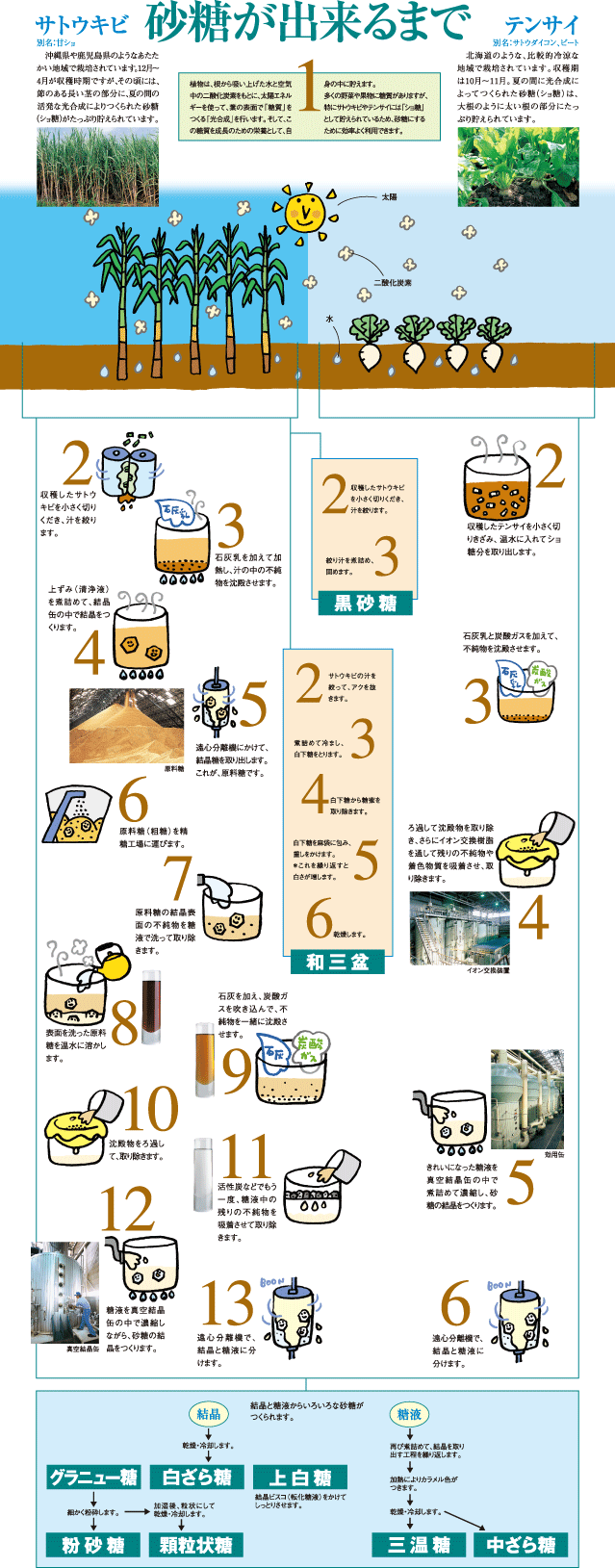 白い砂糖の真実 そして三温糖との関係 農畜産業振興機構