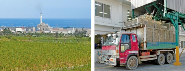 (左)操業中の製糖工場 (右)製糖工場に搬入されるさとうきび