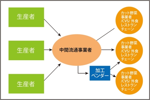 生産から消費までの野菜取引経路