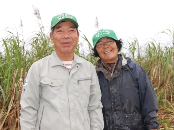 第一線から 日本の砂糖を支える島 川満さんのさとうきび栽培 農畜産業振興機構