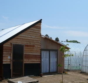 田んぼだった農地に建てた作業小屋とビニールハウス