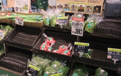 みやぎ生協の産直品ブランド「めぐみ野」野菜