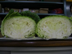 出荷の際は中身をチェック
