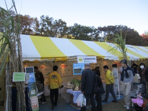 鹿児島県・種子島から届いた高さ3.5m程もある“さとうきび”を展示した機構ブース