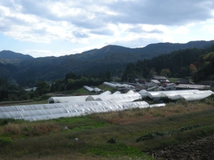 山あいに建つ和田さんのハウス