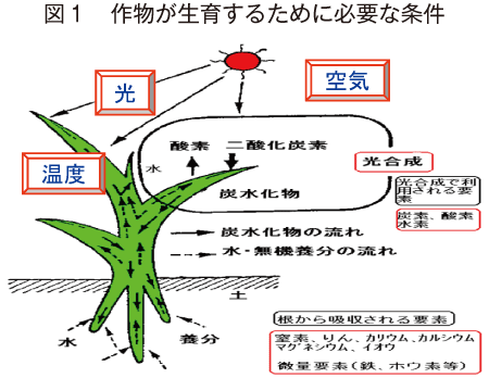 奄美地域におけるさとうきびの安定生産を図る土づくり 農畜産業振興機構