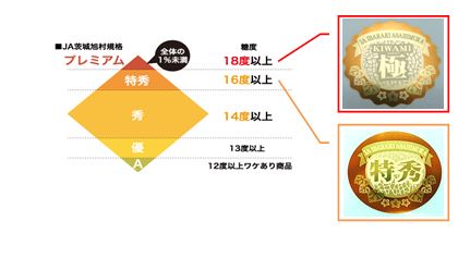 画像提供:茨城旭村農協