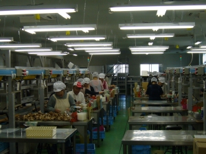 熟練したしいたけの選別・袋詰め作業