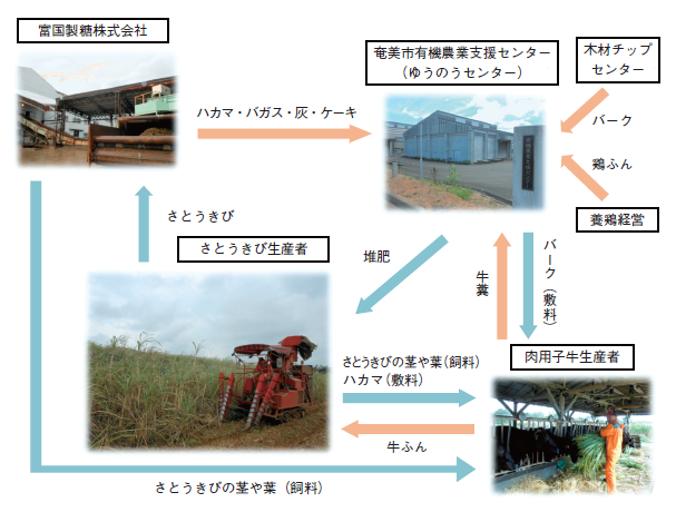 （模式図）　奄美大島におけるさとうきびを中心とした地域資源循環