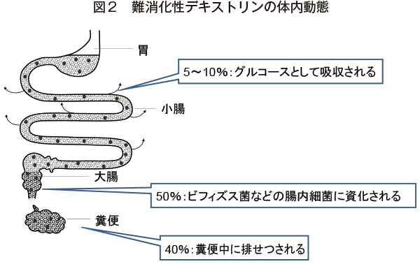 難 消化 性 デキストリン 効果