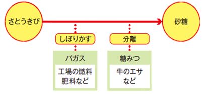 さとうきびとその副産物の利用