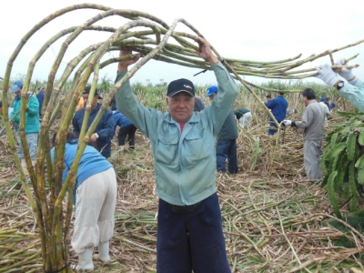 上里 豊一氏(写真提供:沖縄県糖業振興協会)