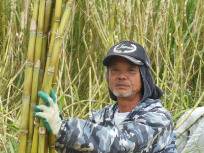 国吉 政弘氏(写真提供:沖縄県糖業振興協会)