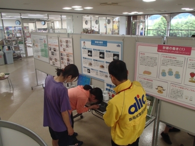 砂糖の結晶を観察する学生
