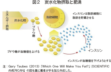 図2　炭水化物摂取と肥満