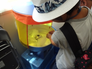 わた菓子作り体験をする子どもたち