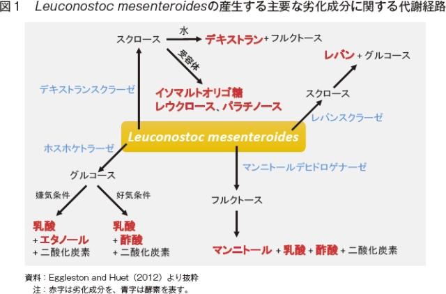 }1@Leuconostoc mesenteroides̎Yvȗ򉻐ɊւӌoH