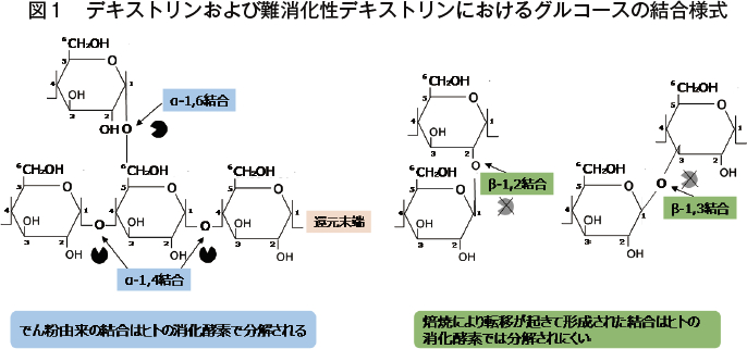 多糖類としての難消化デキストリンの特徴 農畜産業振興機構