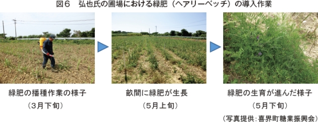 }6@O玁̕ޏɂΔiwA[xb`j̓