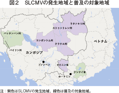 図2　SLCMVの発生地域と普及の対象地域
