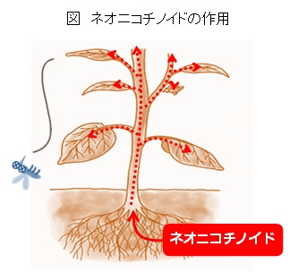 昆虫は、薬剤を含んだ葉を食べたり、花粉や汁を吸ったりすることで死に至る。