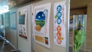 パネル展の様子(1)