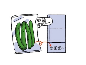 高温・低温・乾燥に弱いので、冷蔵庫の野菜室(10〜15度)でポリ袋に入れて保存しましょう。