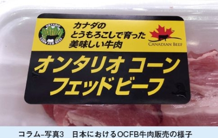 コラム?写真3　 日本におけるOCFB牛肉販売の様子