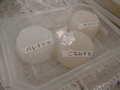 でん粉の種類による触感や色の違いを実感