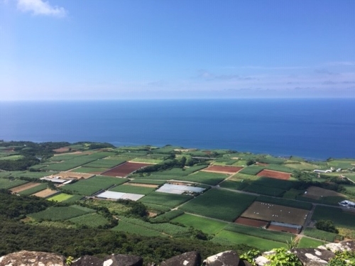 第一線から 島のサトウキビ生産のバトンを繋いでいくために 沖縄県久米島町 サトウキビ 生産者輿那嶺 よなみね さんと有限会社球美 きゅうび 開発の奮闘 農畜産業振興機構