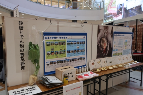 展示の様子