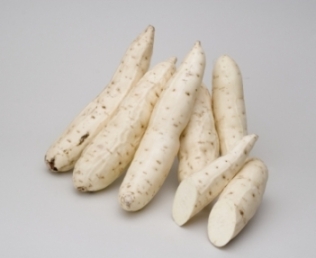 かんしょでん粉の原料となるさつまいも