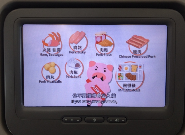 写真1 航空機内の啓蒙活動