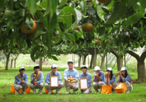 GAPを取得した梨の畑と生徒たち