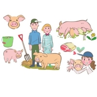 肉豚経営安定交付金制度 これからも国産豚肉が安定的に食べられるように 農畜産業振興機構