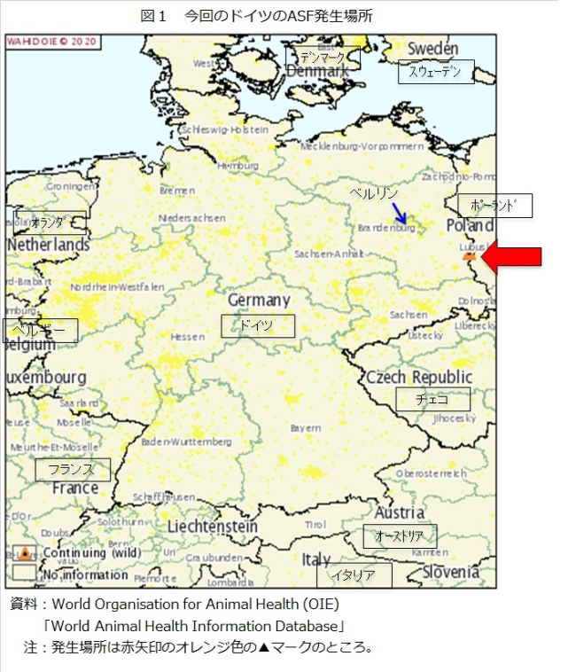 図1　今回のドイツのASF発生場所