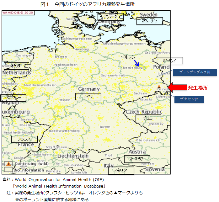 図1　今回のドイツのアフリカ豚熱発生場所