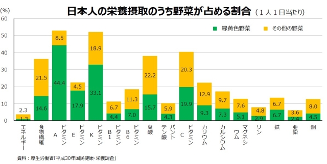 日本人の栄養摂取のうち野菜が占める割合