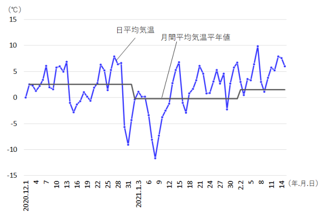 図2　山東省青島市の日平均気温の推移.