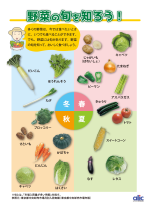 野菜の旬を知ろう！