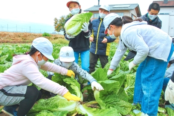 収穫体験に励む子どもたち