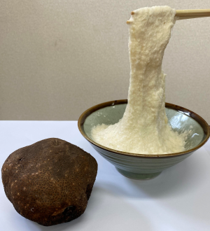 強い粘りを持つ「つくねいも」画像提供:JA十勝池田町